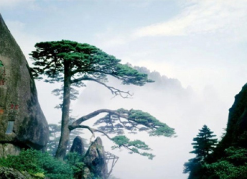 bbin·宝盈(中国)集团官方网站首页