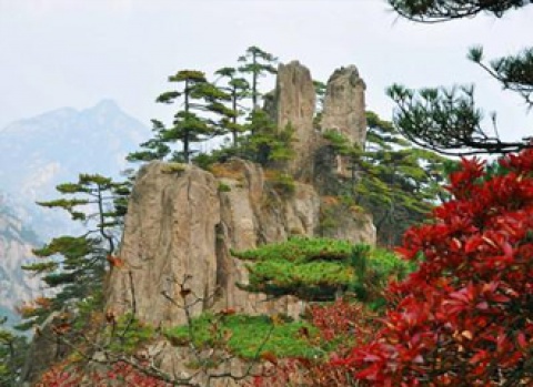 bbin·宝盈(中国)集团官方网站首页